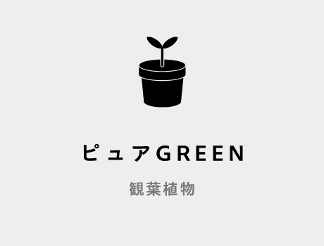 ピュアGREEN